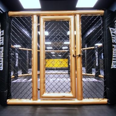 Fight Department